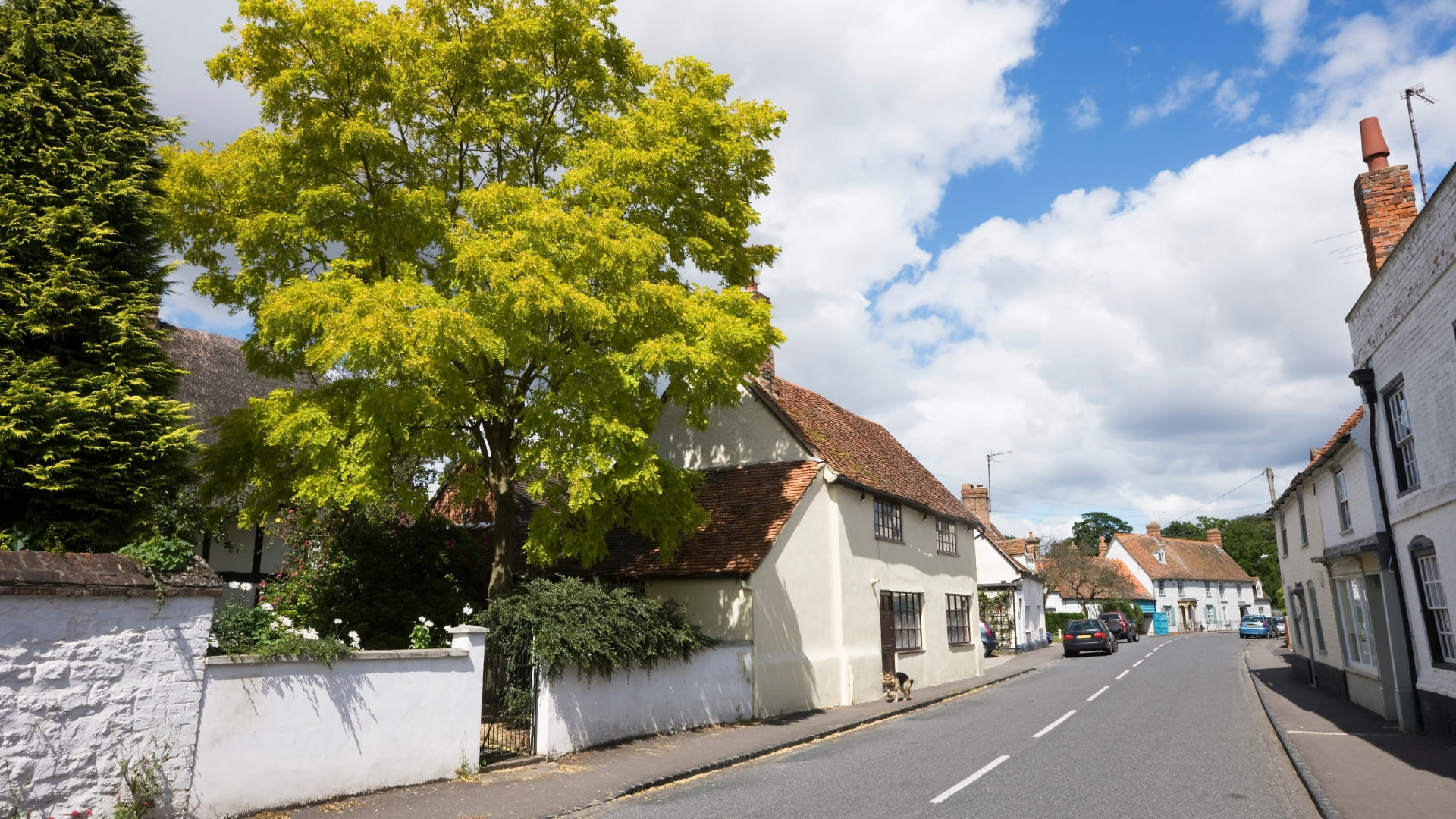 coach holidays to dorchester